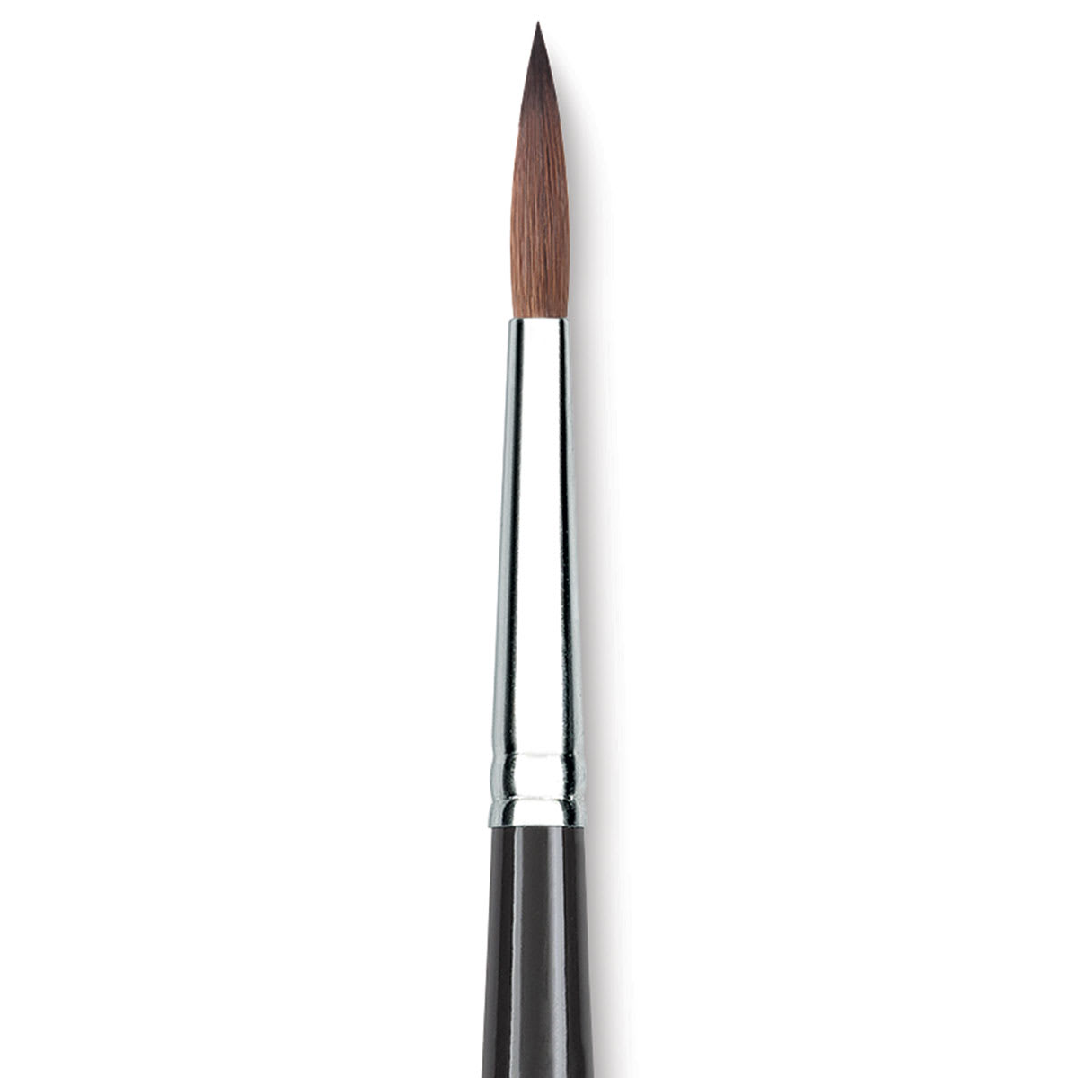 Princeton Series 7050 Kolinsky Sable Round - Size 6, Short Handle close up