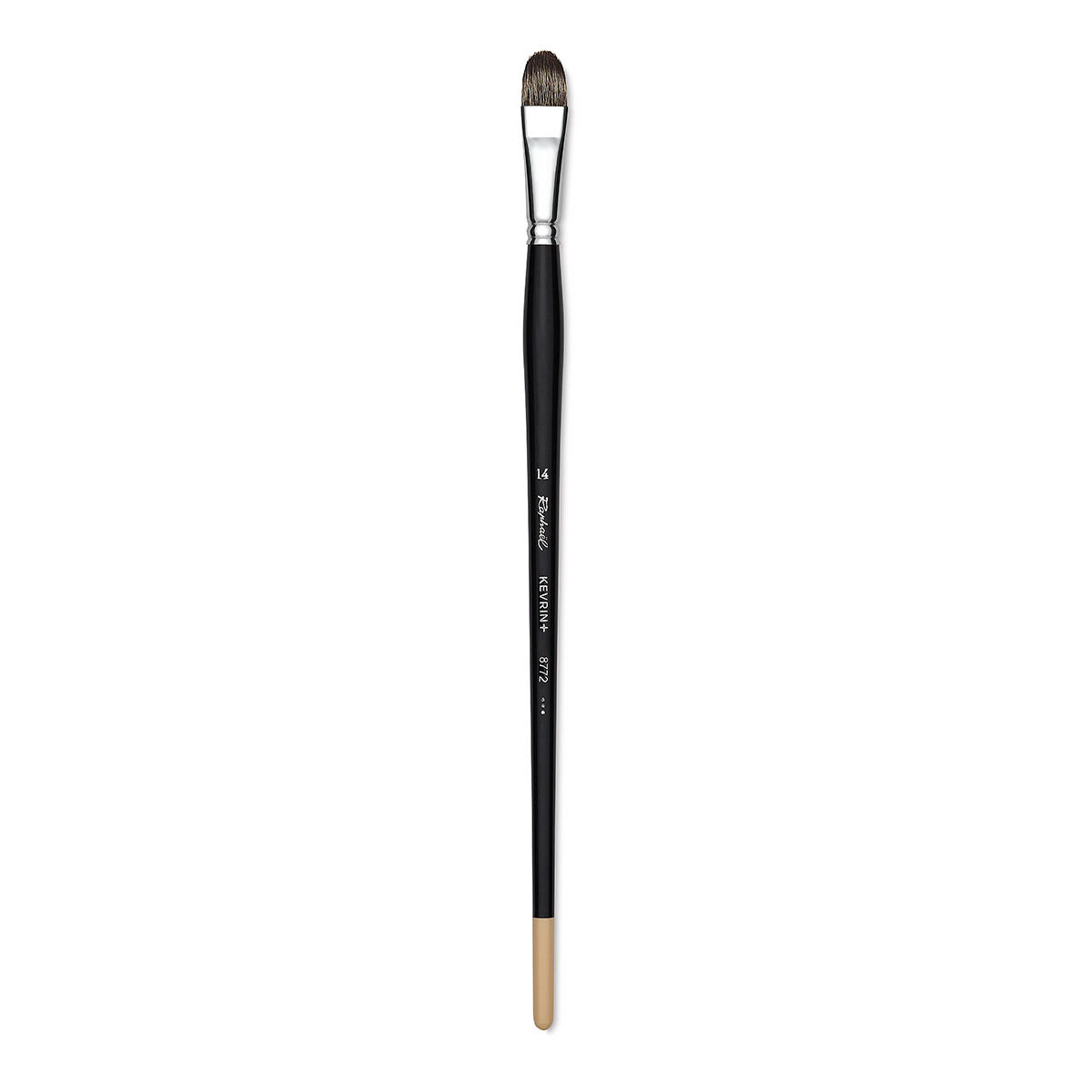 Raphaël Kevrin+ Brush - Filbert, Long Handle, Size 14