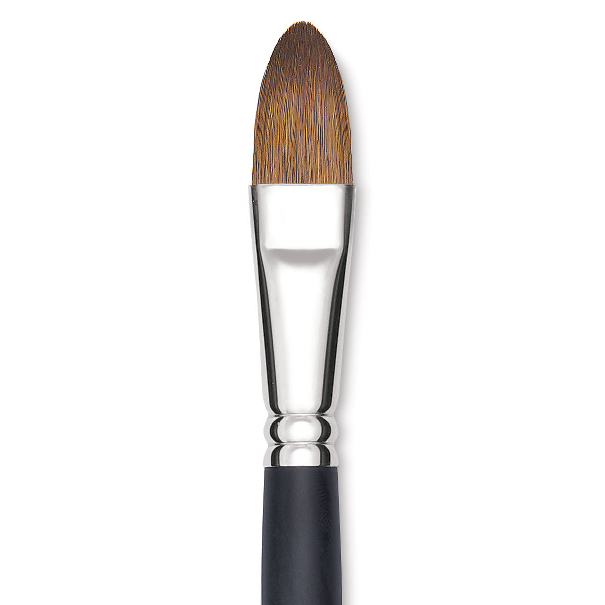 Blick Masterstroke Finest Red Sable Brush - Filbert, Size 20, Long Handle close-up