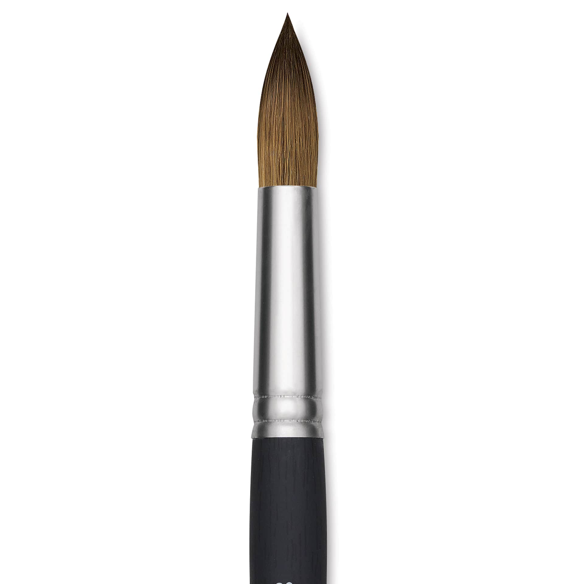 Princeton Aqua Elite Series 4850 Synthetic Brush - Round, Size 20, Short Handle, close up