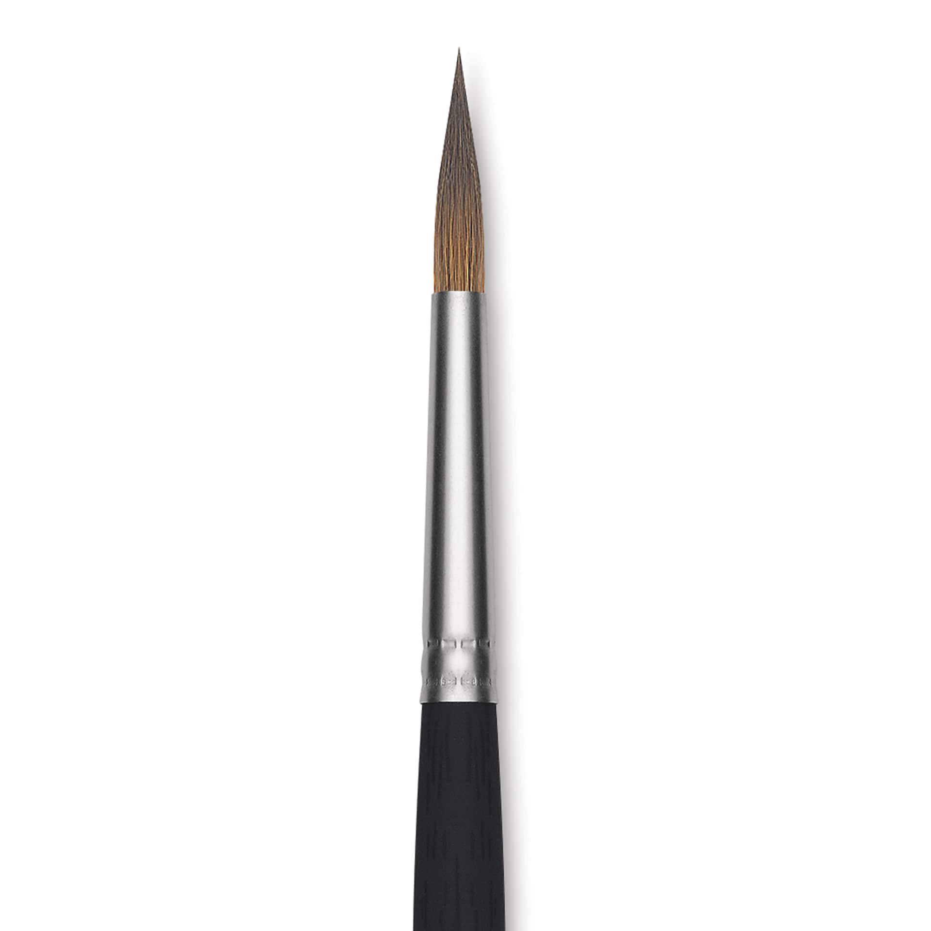 Princeton Aqua Elite Series 4850 Synthetic Brush - Long Round, Size 8, Short Handle, close up
