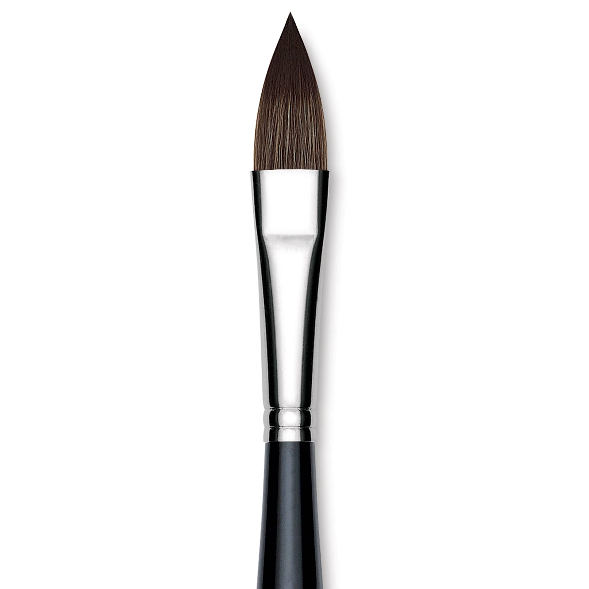 Da Vinci Casaneo Synthetic Squirrel Watercolor Brush - Pointed Oval Wash, Size 12, Short Handle, Synthetic, close up