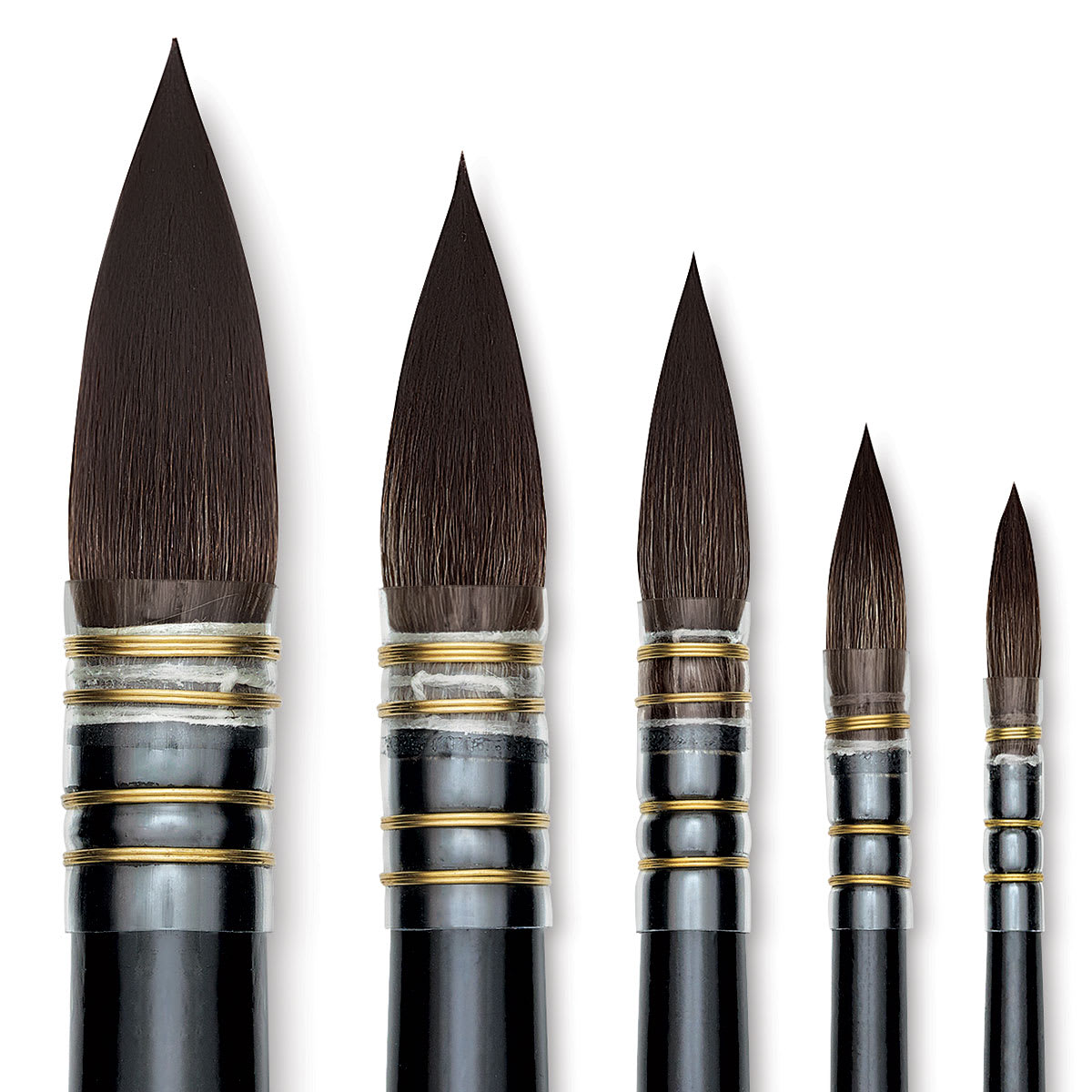 Da Vinci Casaneo Synthetic Squirrel Watercolor Brushes - Closeup of assorted Quill Round Washes Da Vinci Casaneo Synthetic Squirrel Watercolor Brushes - Closeup of assorted Quill Round Washes