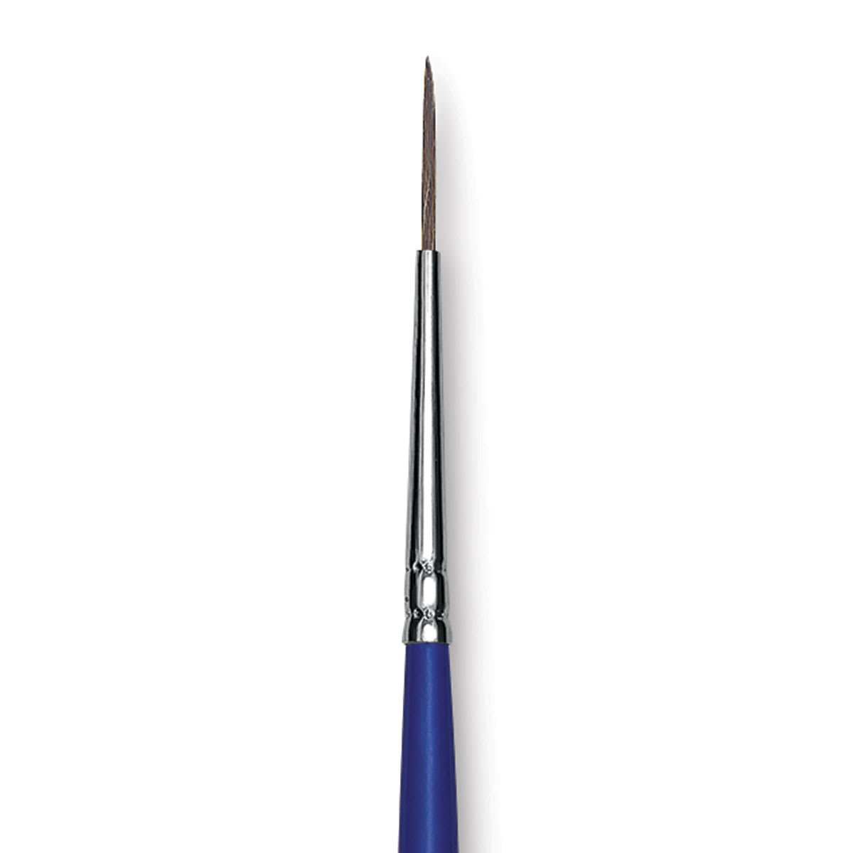 Blick Scholastic Red Sable Brush - Script, 2/0 close up