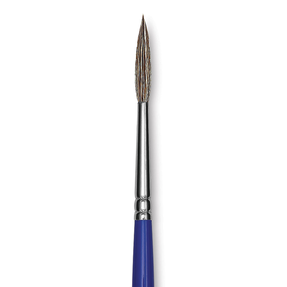 Blick Scholastic Ox Hair Brush - Script, Short Handle, Size 4 close up