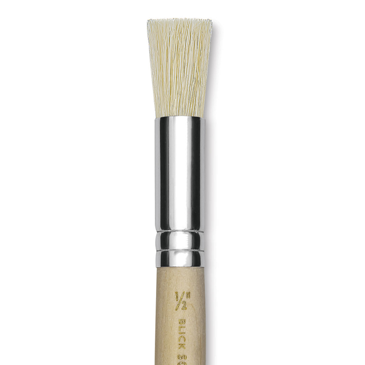 Blick Scholastic White Bristle Brush - Stencil Brush, 1/2" close up