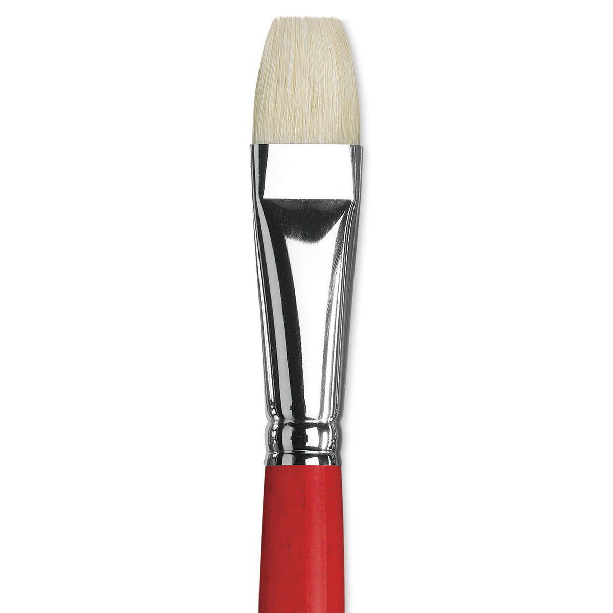 Da Vinci Maestro 2 Hog Bristle Brush - Bright, Long Handle, Size 12 close up