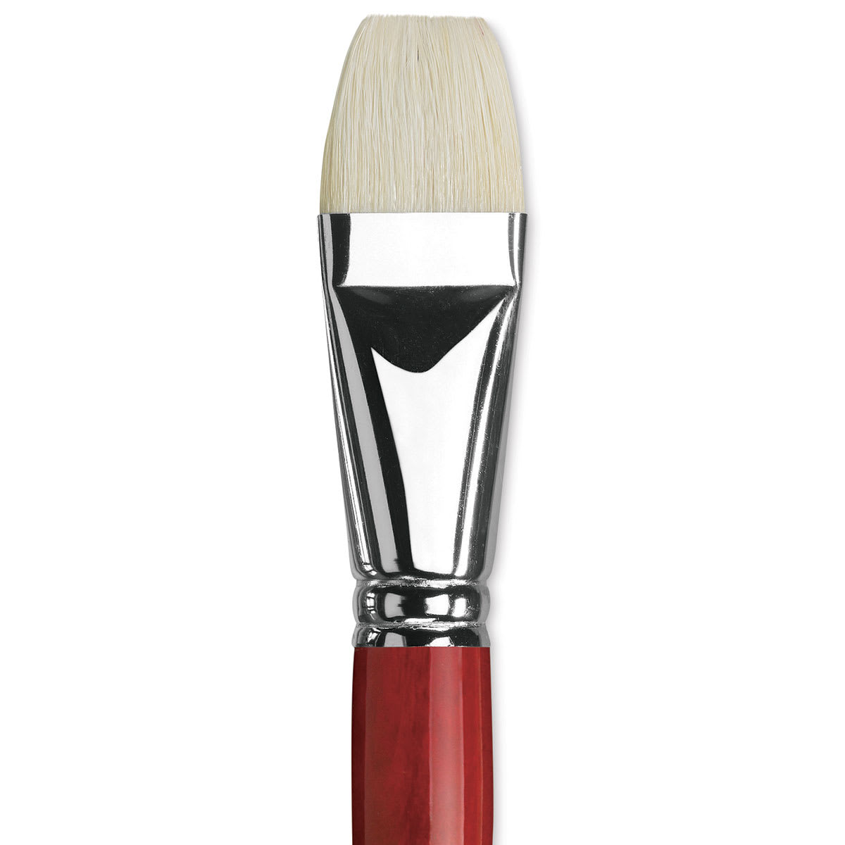 Da Vinci Maestro 2 Hog Bristle Brush - Bright, Long Handle, Size 20 close up
