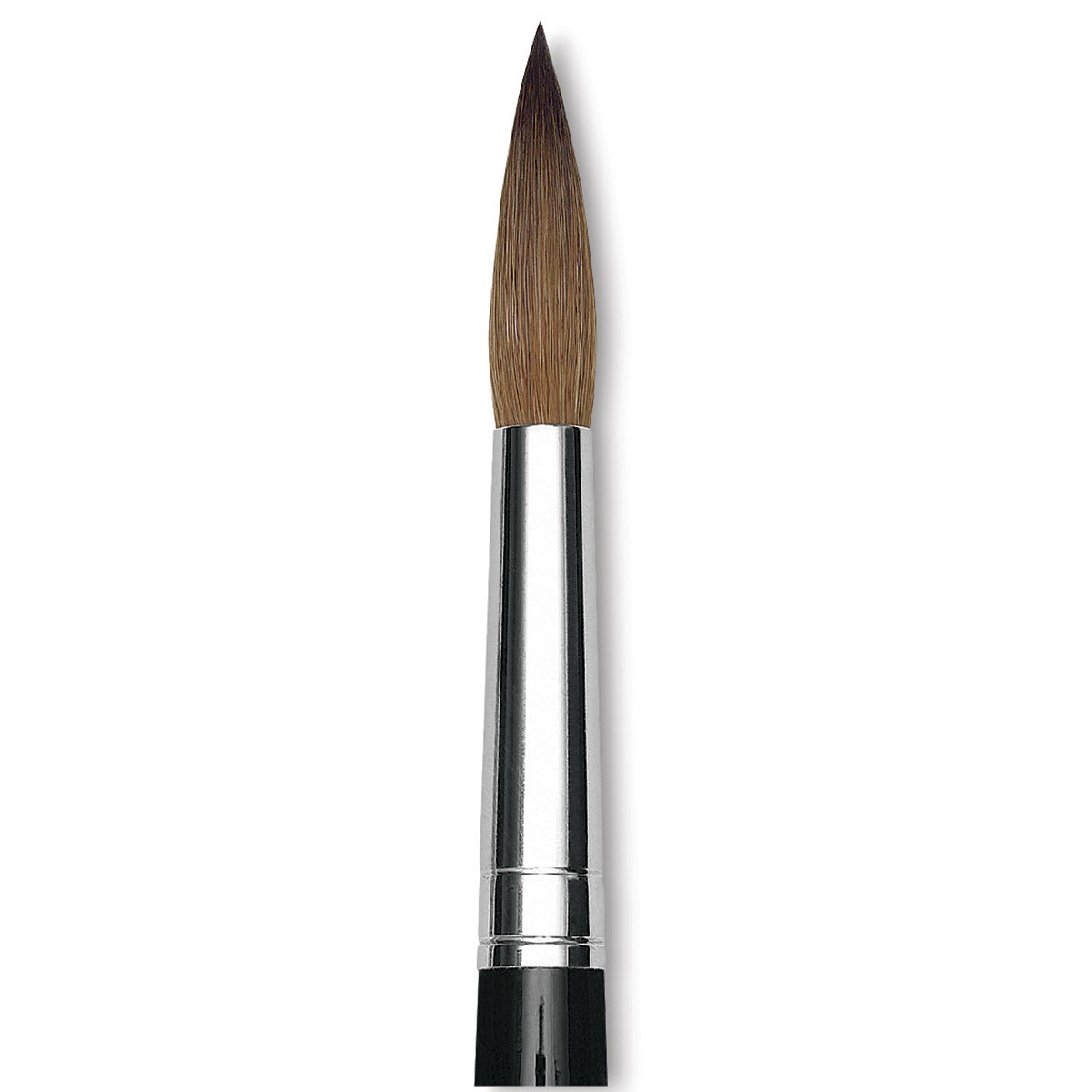 Da Vinci Maestro Kolinsky Sable Brush - Round, Short Handle, Size 14, close up