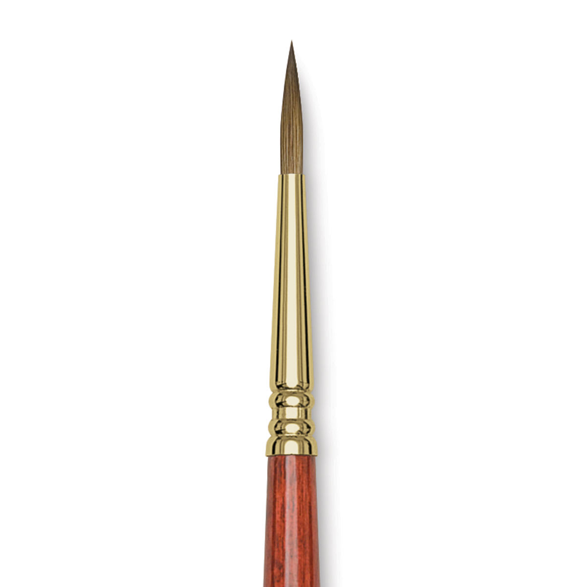 Blick Master Kolinsky Sable Brush - Pointed Round, Short Handle, Size 4 close up
