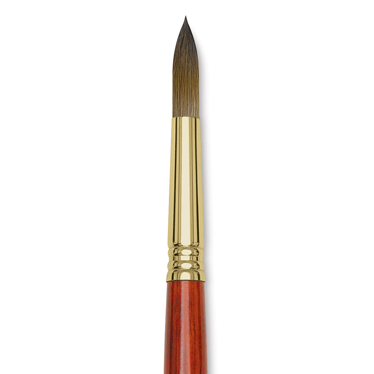 Blick Master Kolinsky Sable Brush - Pointed Round, Short Handle, Size 12 close up