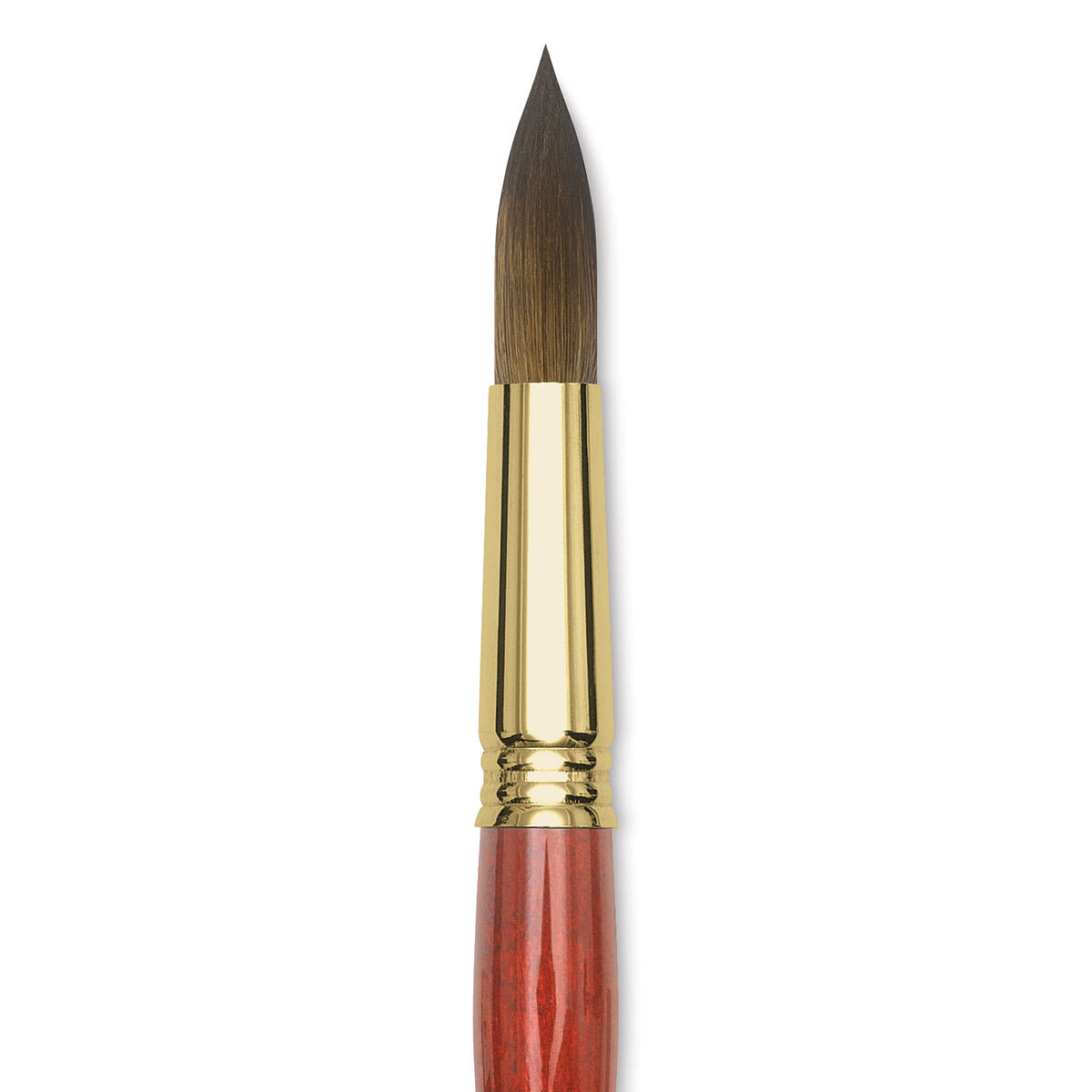 Blick Master Kolinsky Sable Brush - Pointed Round, Short Handle, Size 18 close up