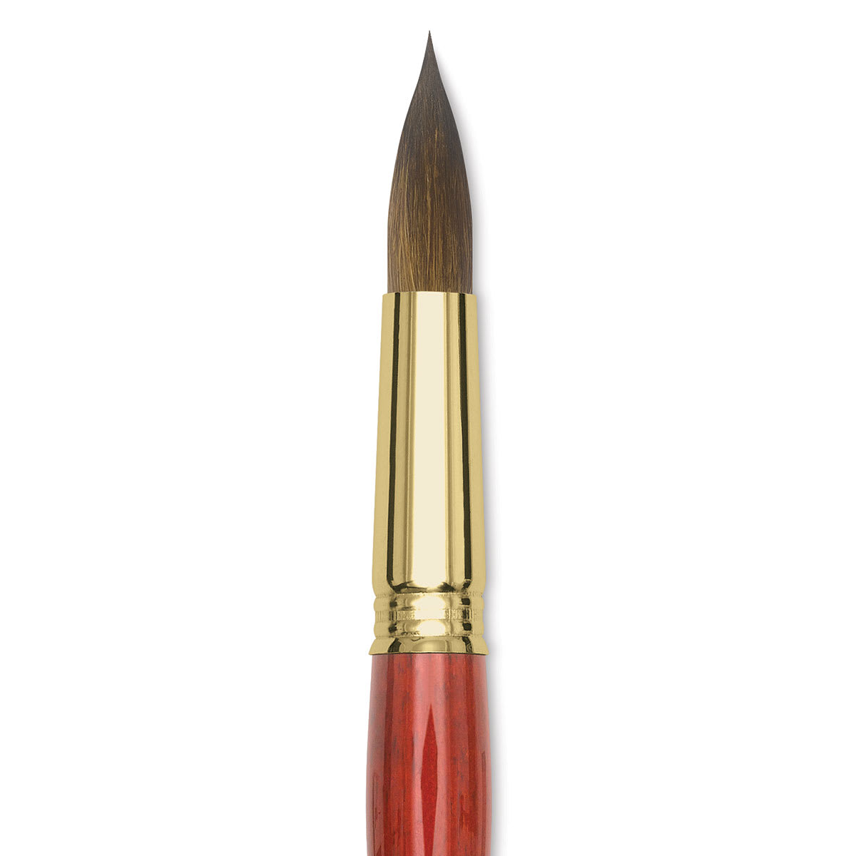 Blick Master Kolinsky Sable Brush - Pointed Round, Short Handle, Size 20 close up