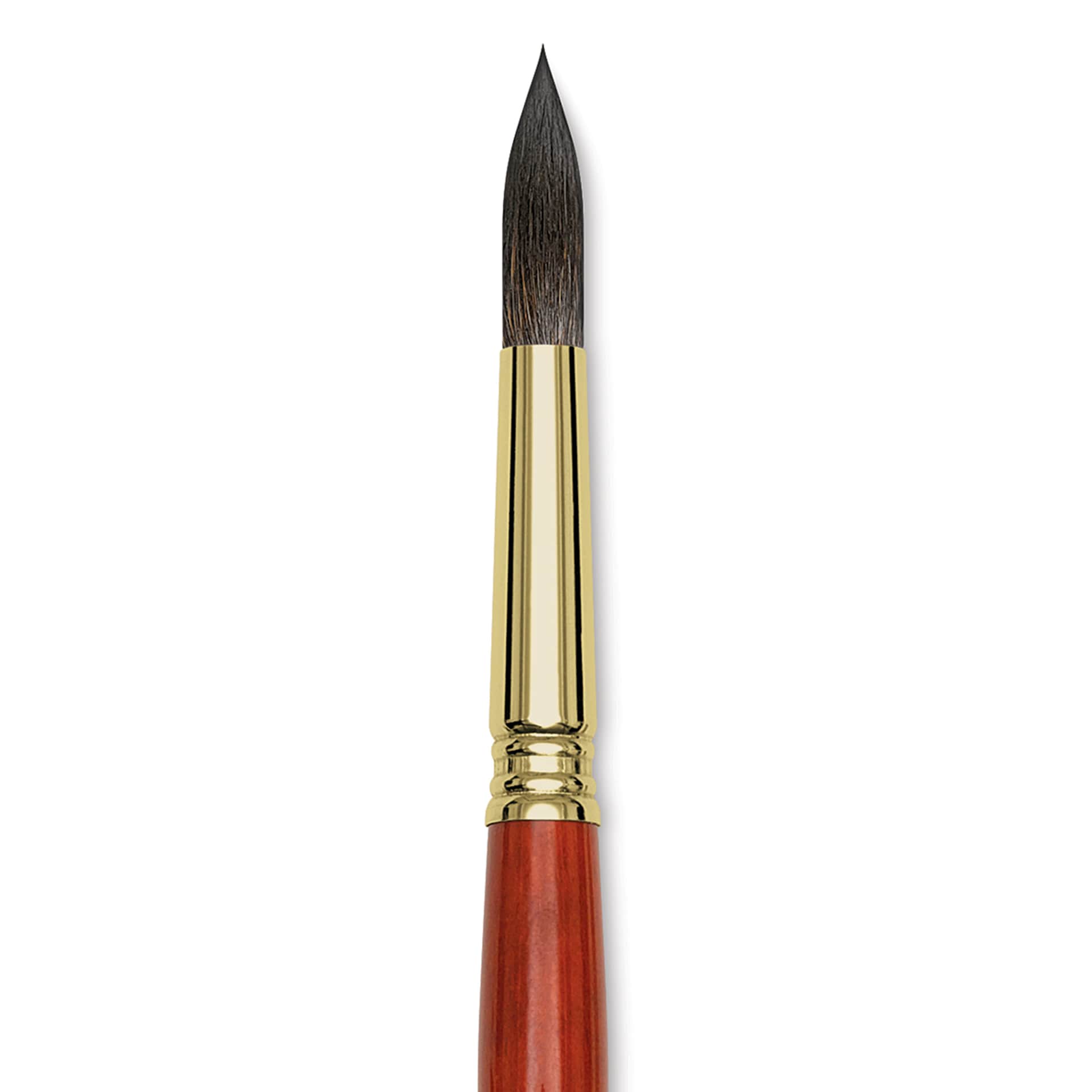 Blick Master Natural Brush - Round, Size 14, close-up