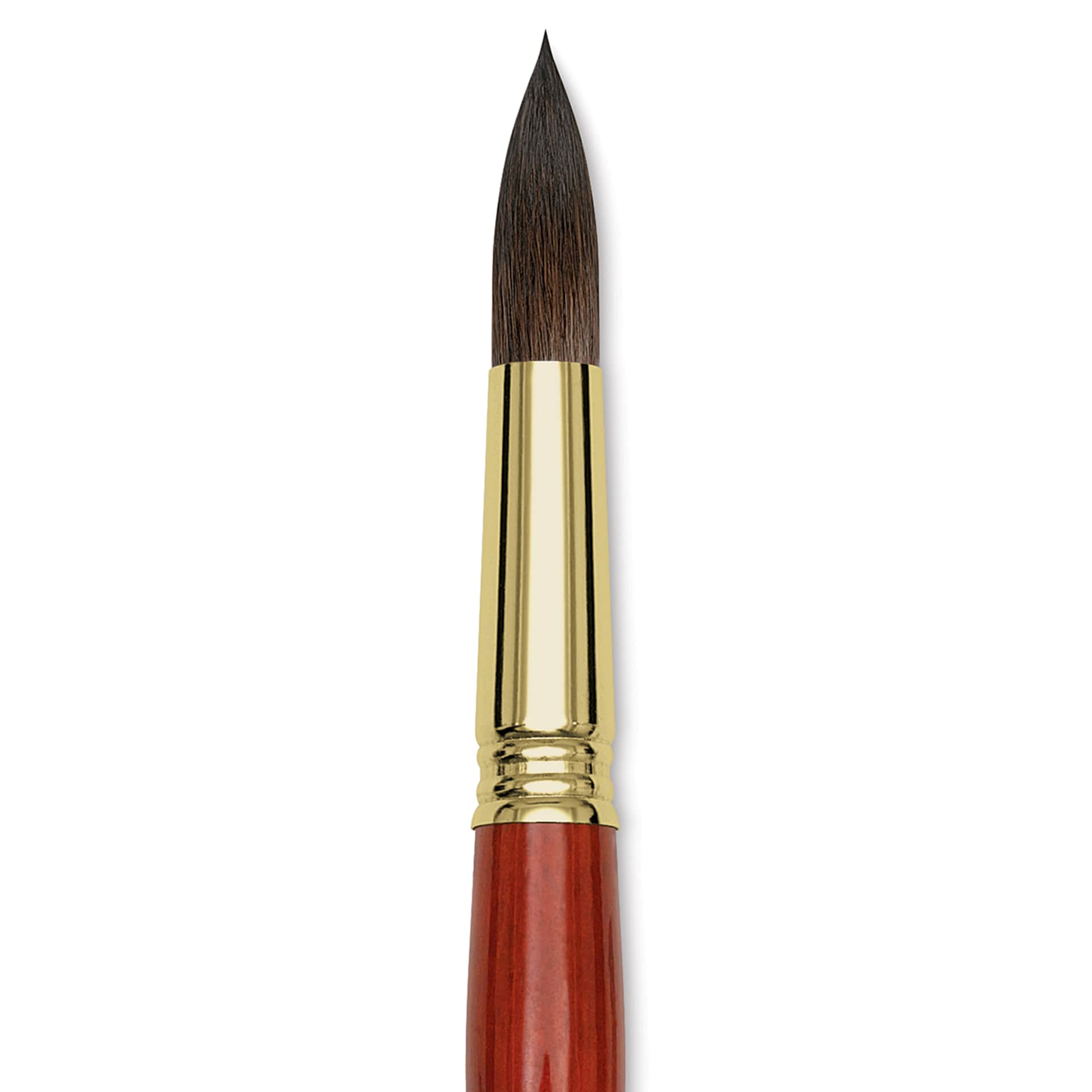 Blick Master Natural Brush - Round, Size 18, close-up