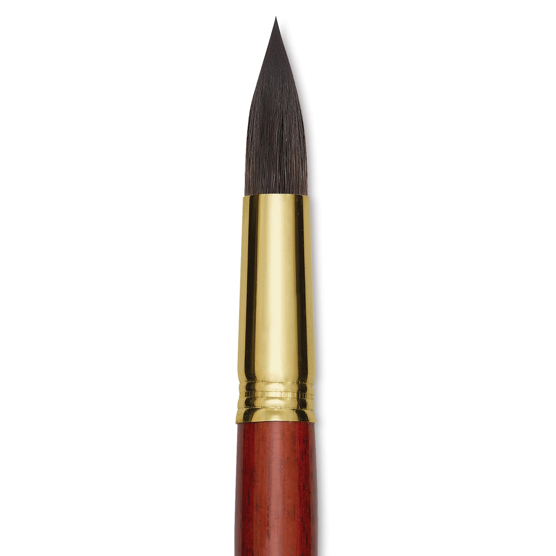 Blick Master Natural Brush - Round, Size 22, close-up
