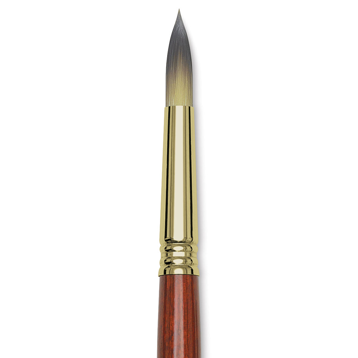 Blick Master Short Handle Synthetic Brush - Round, Size 14, close-up