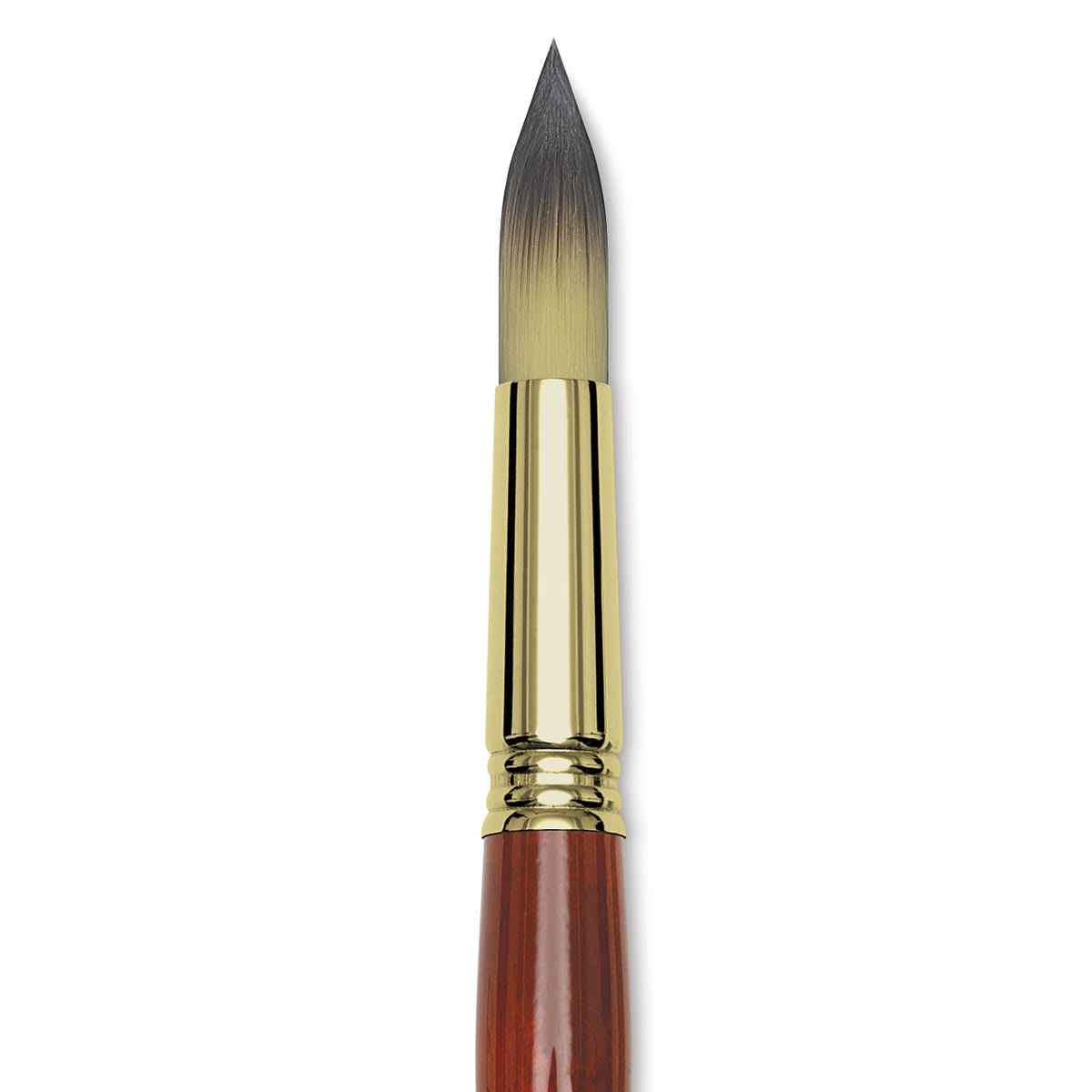 Blick Master Short Handle Synthetic Brush - Round, Size 18, close-up