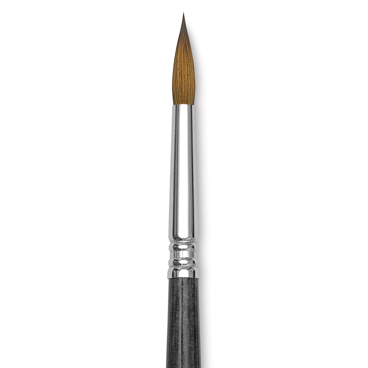 Blick Studio Sable Brush - Round, Short Handle, Size 8 close up