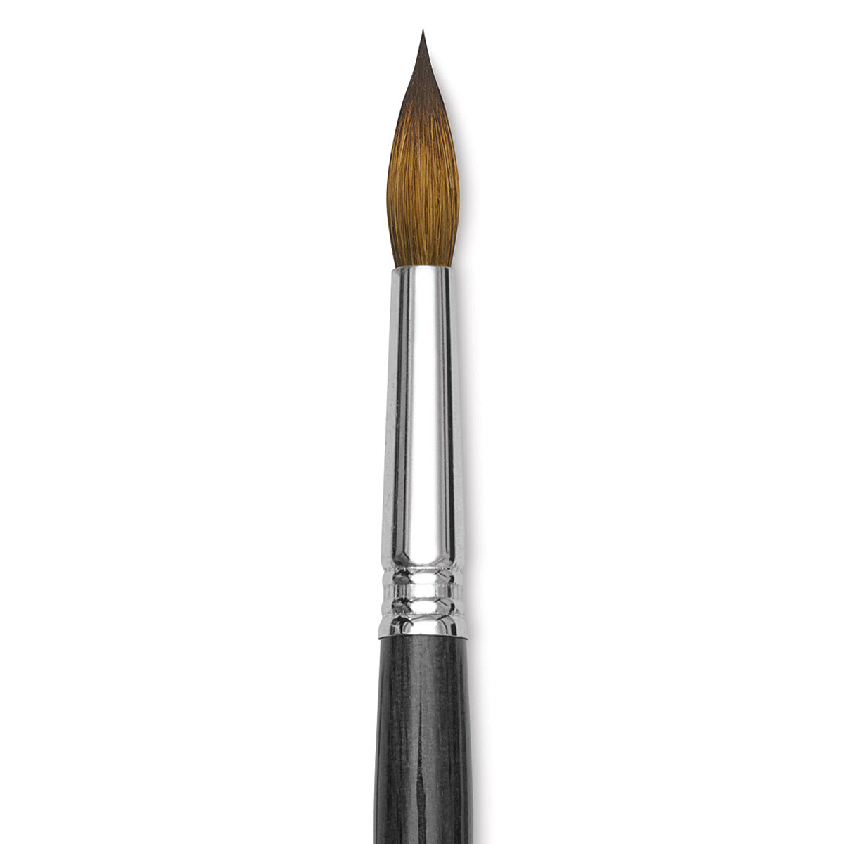 Blick Studio Sable Brush - Round, Short Handle, Size 14 close up