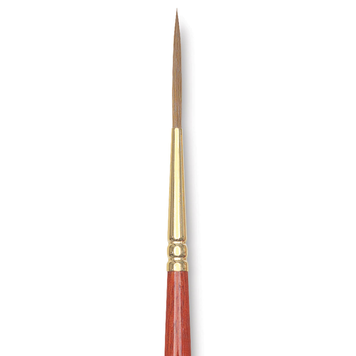Winsor & Newton Sceptre Gold II Brush - Rigger, Short Handle, Size 2 close up