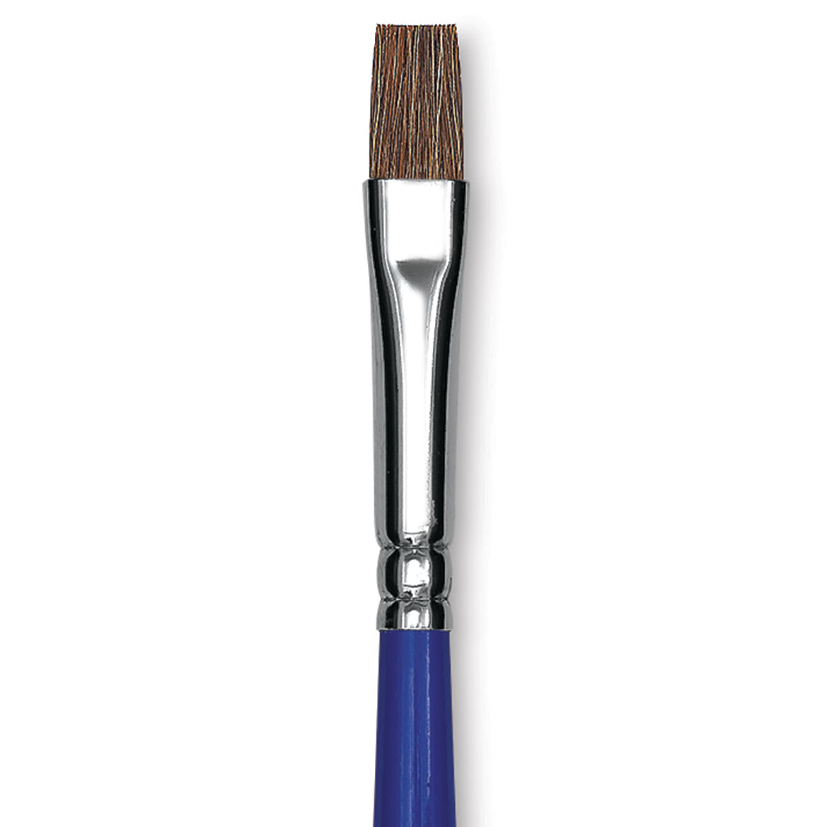 Blick Scholastic Pony Brush - Bright, Short Handle, Size 6 close up