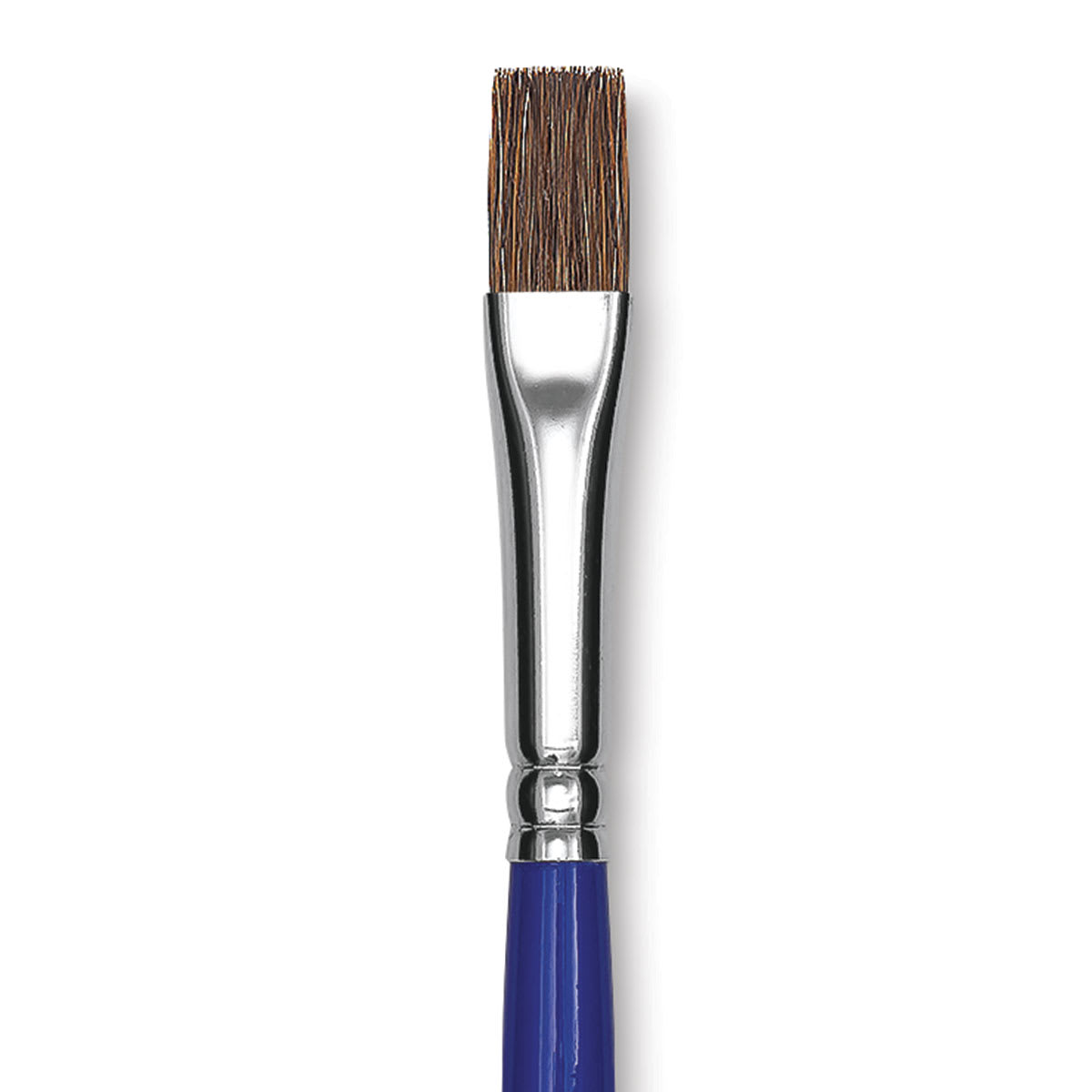 Blick Scholastic Pony Brush - Bright, Short Handle, Size 8 close up