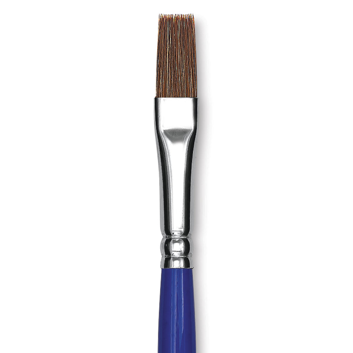 Blick Scholastic Pony Brush - Bright, Short Handle, Size 10 close up