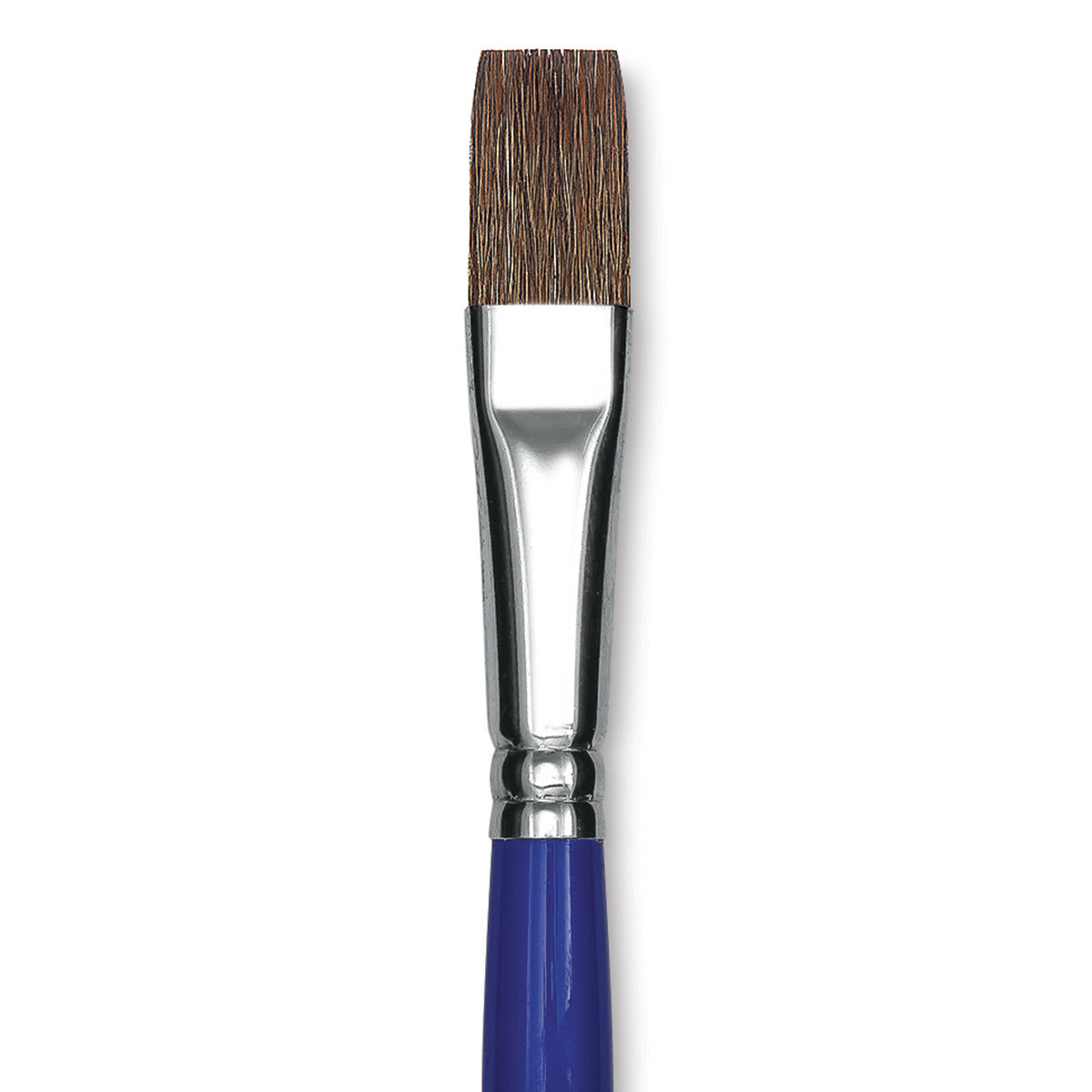 Blick Scholastic Pony Brush - Bright, Short Handle, Size 14 close up