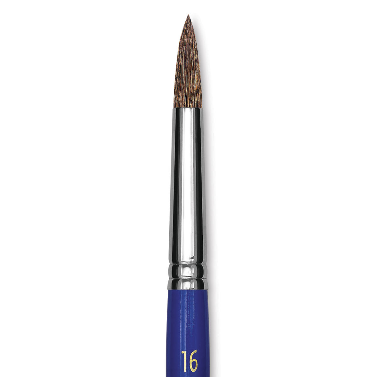 Blick Scholastic Pony Brush - Round, Short Handle, Size 16 close up
