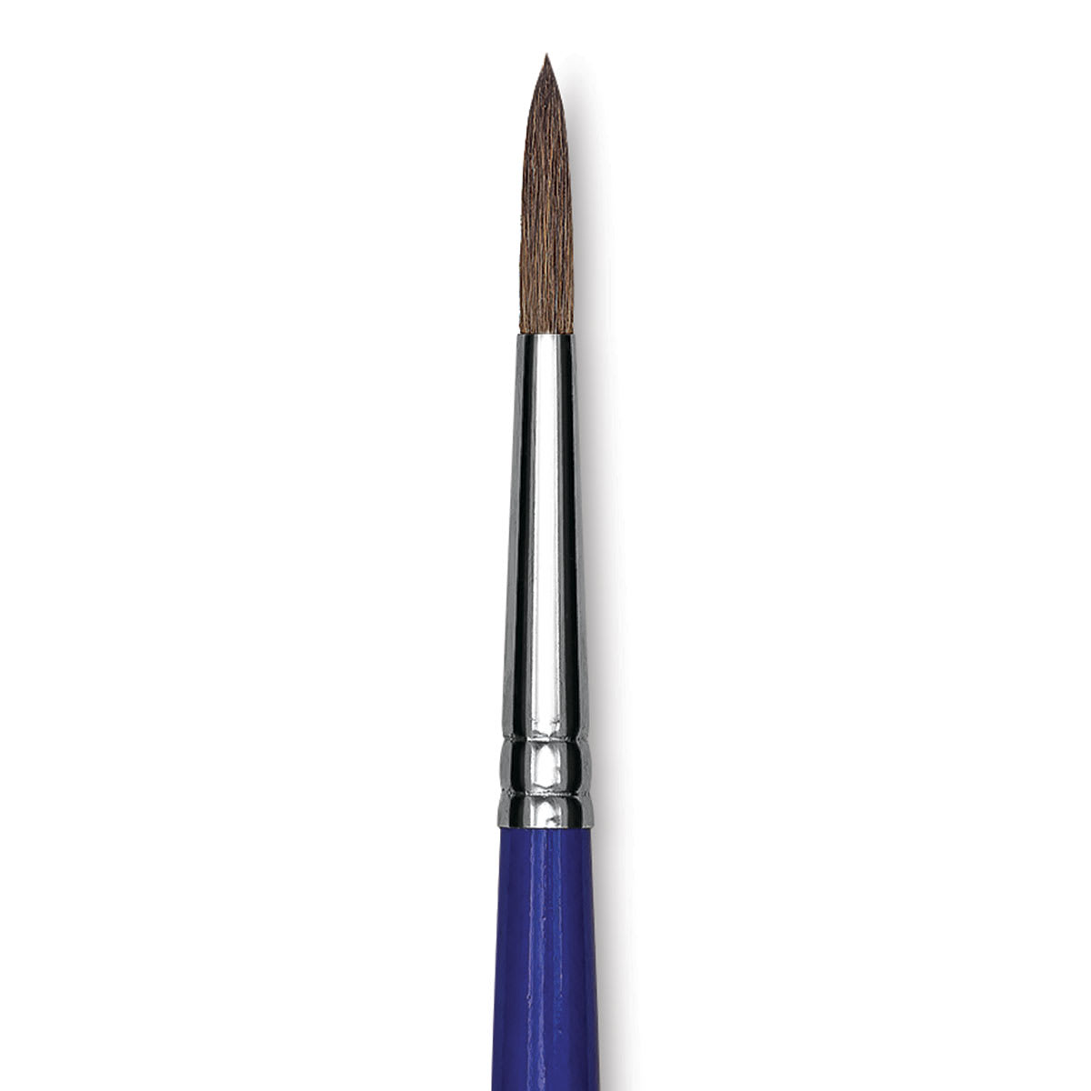 Blick Scholastic Camel Hair Brush - Round, Short Handle, Size 6 close up