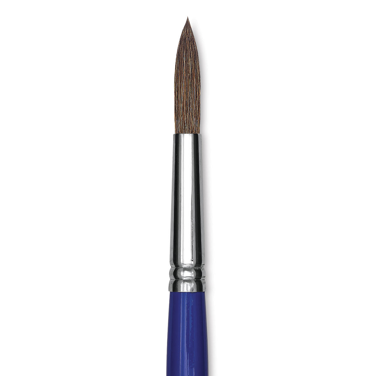 Blick Scholastic Camel Hair Brush - Round, Short Handle, Size 14 close up