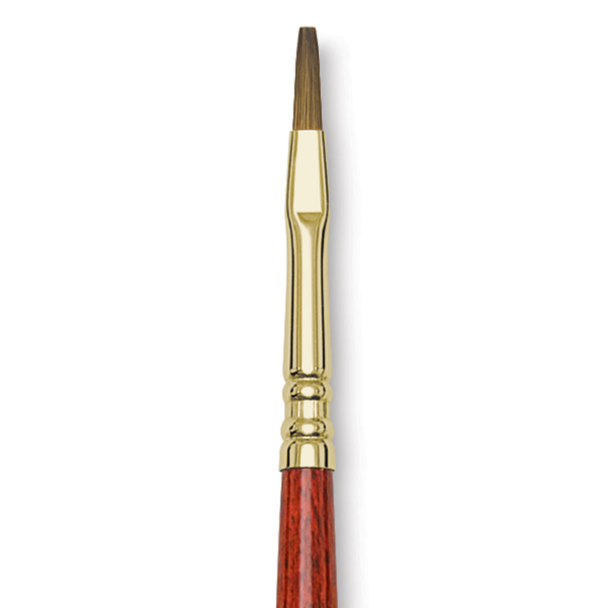 Blick Master Kolinsky Sable Brush - Flat, Short Handle, Red, Size 2 close up