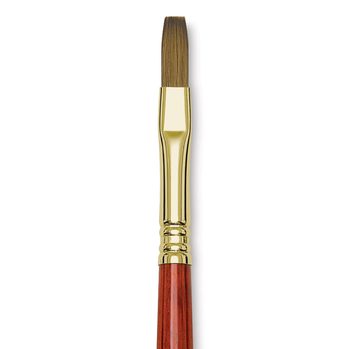 Blick Master Kolinsky Sable Brush - Flat, Short Handle, Red, Size 8 close up