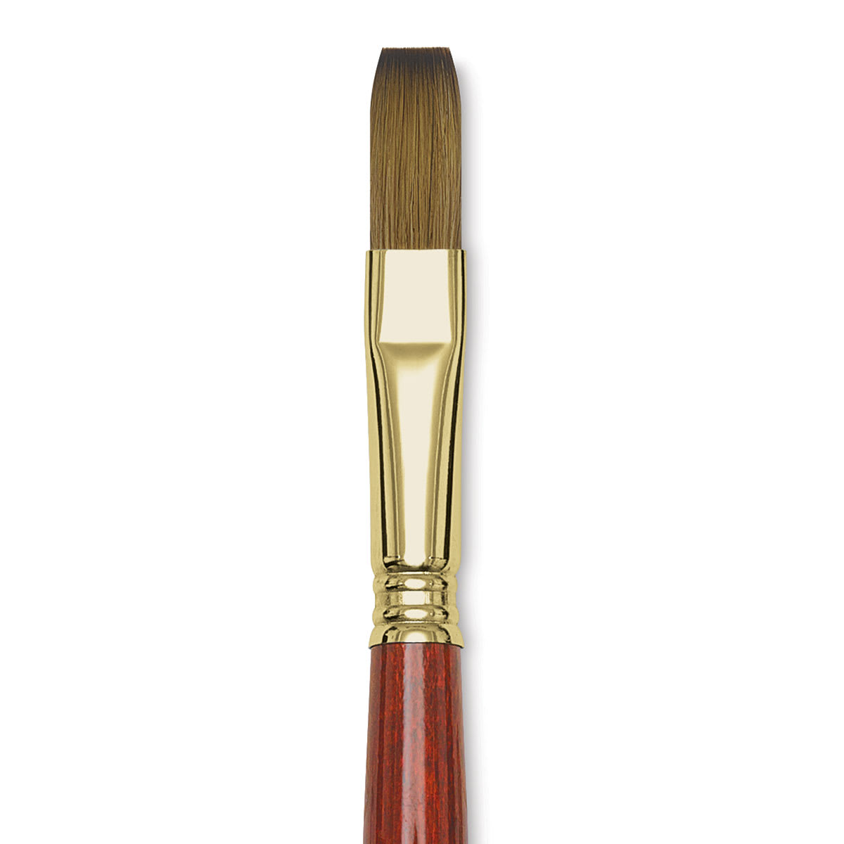 Blick Master Kolinsky Sable Brush - Flat, Short Handle, Red, Size 14 close up