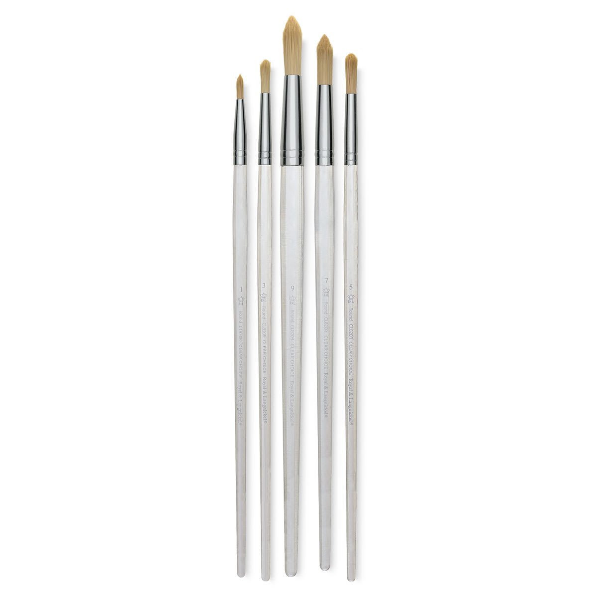 Royal Langnickel Clear Choice Brush Set - Tynex, Round, Set of 60, Long Handle (full handle)