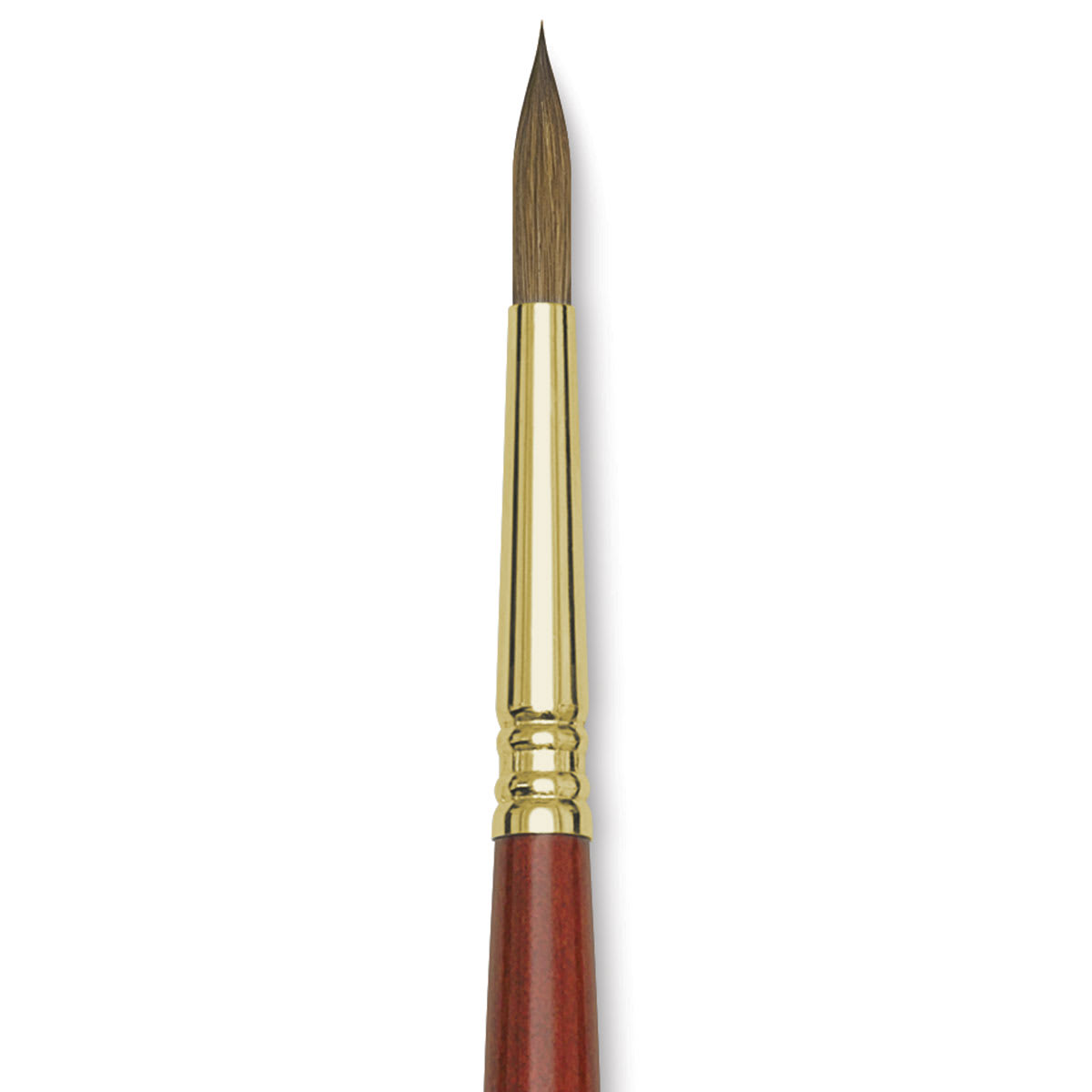 Blick Master Kolinsky Sable Brush - Round, Long Handle, Size 8 close up