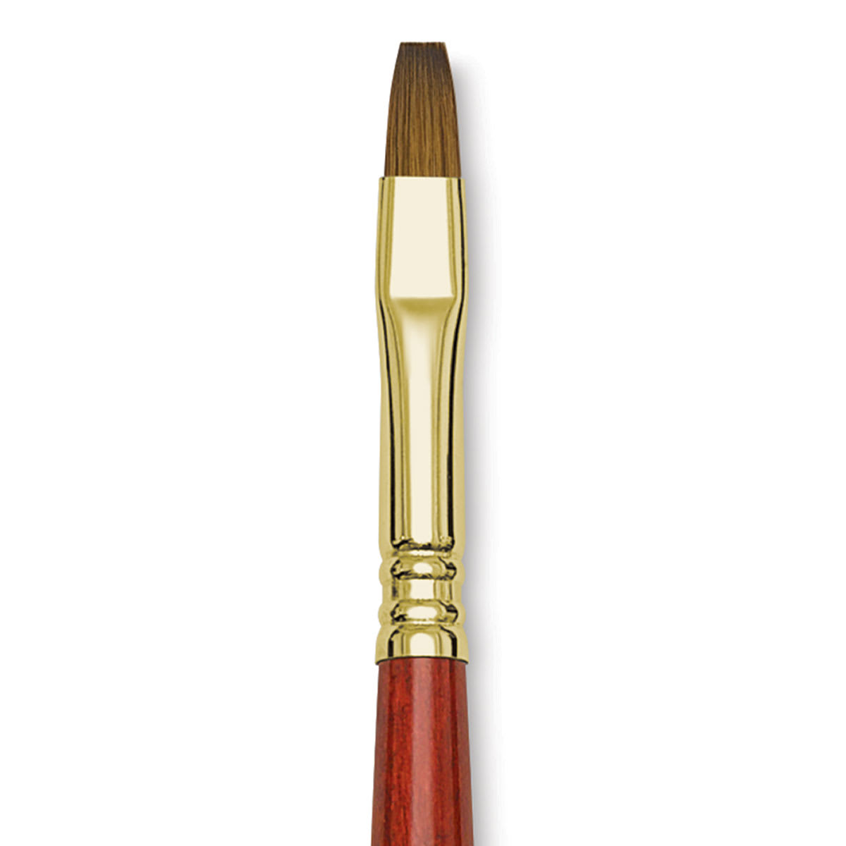 Blick Master Kolinsky Sable Brush - Bright, Long Handle, Size 8 close up