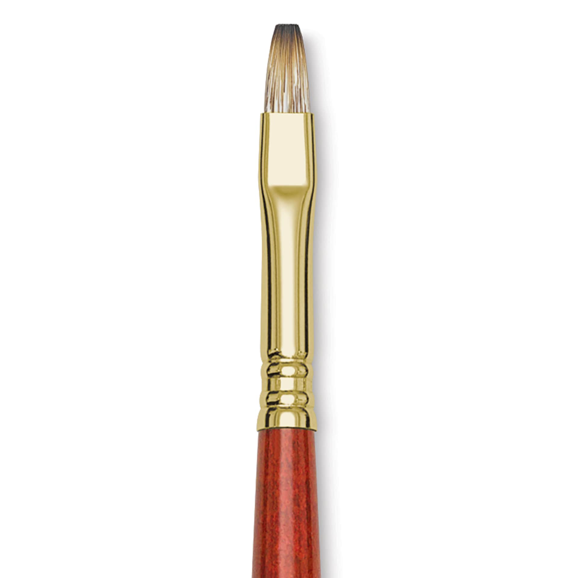 Blick Master Synthetic Brush - Bright, Long Handle, Size 8, close-up