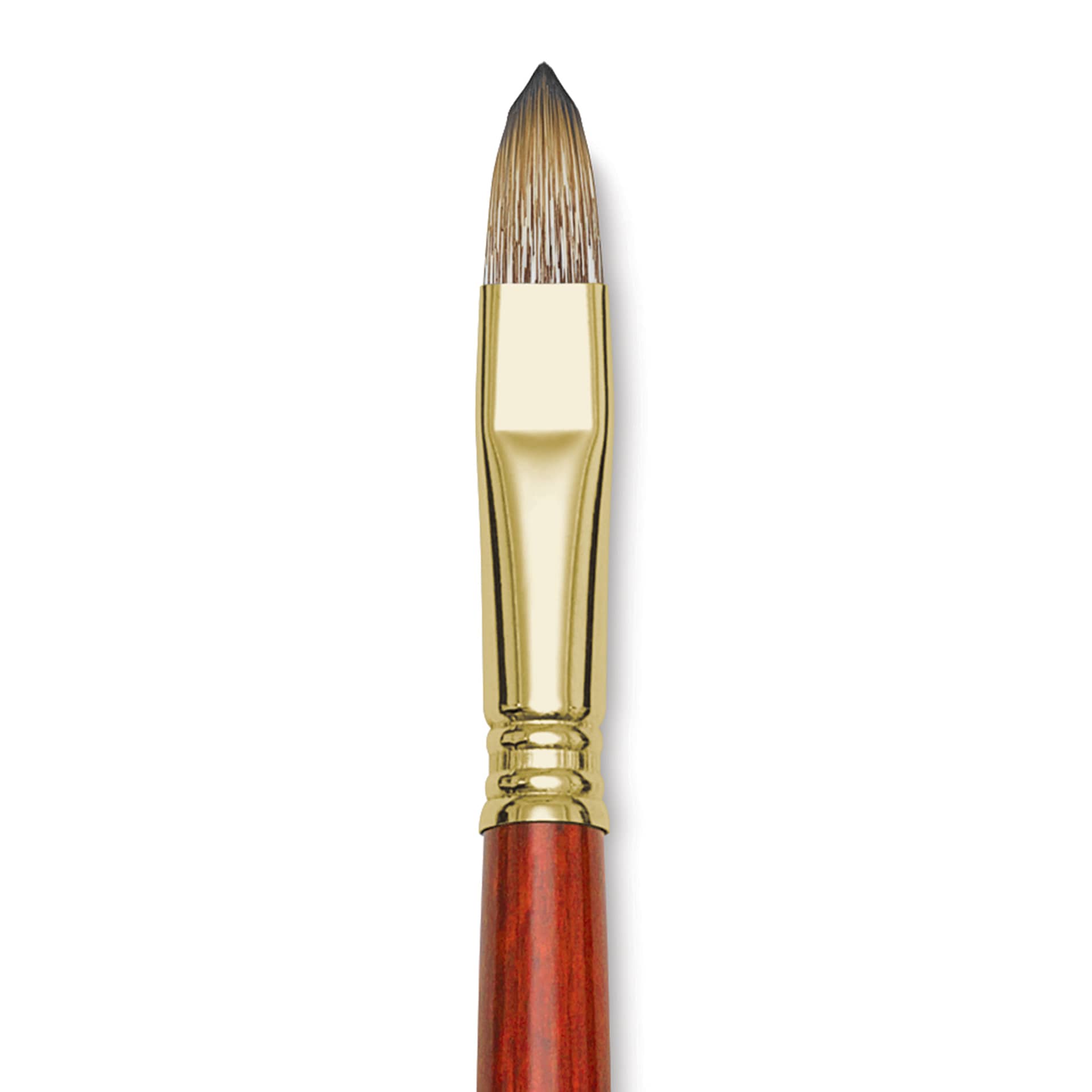Blick Master Synthetic Brush - Filbert, Long Handle, Size 12, close-up