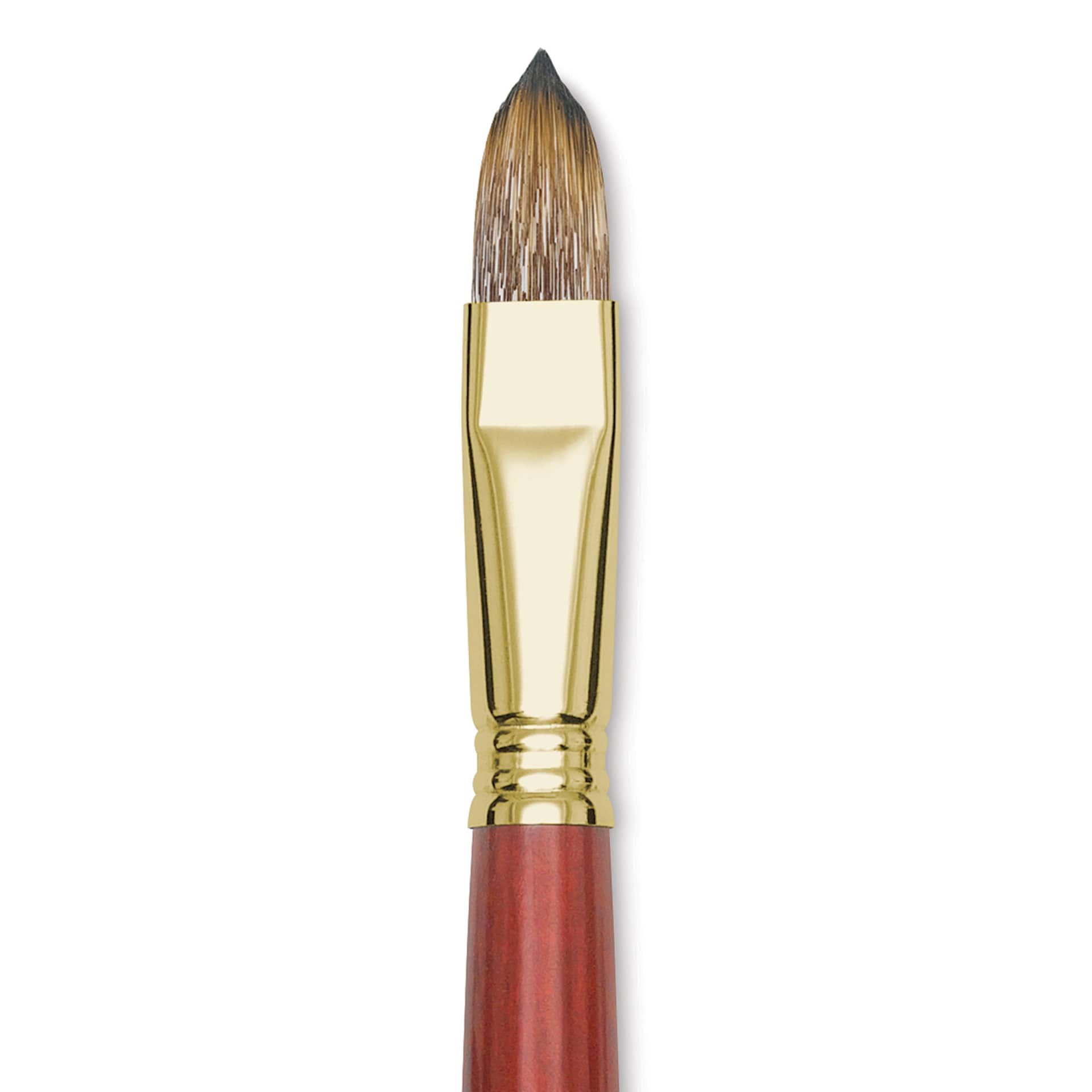 Blick Master Synthetic Brush - Filbert, Long Handle, Size 16, close-up
