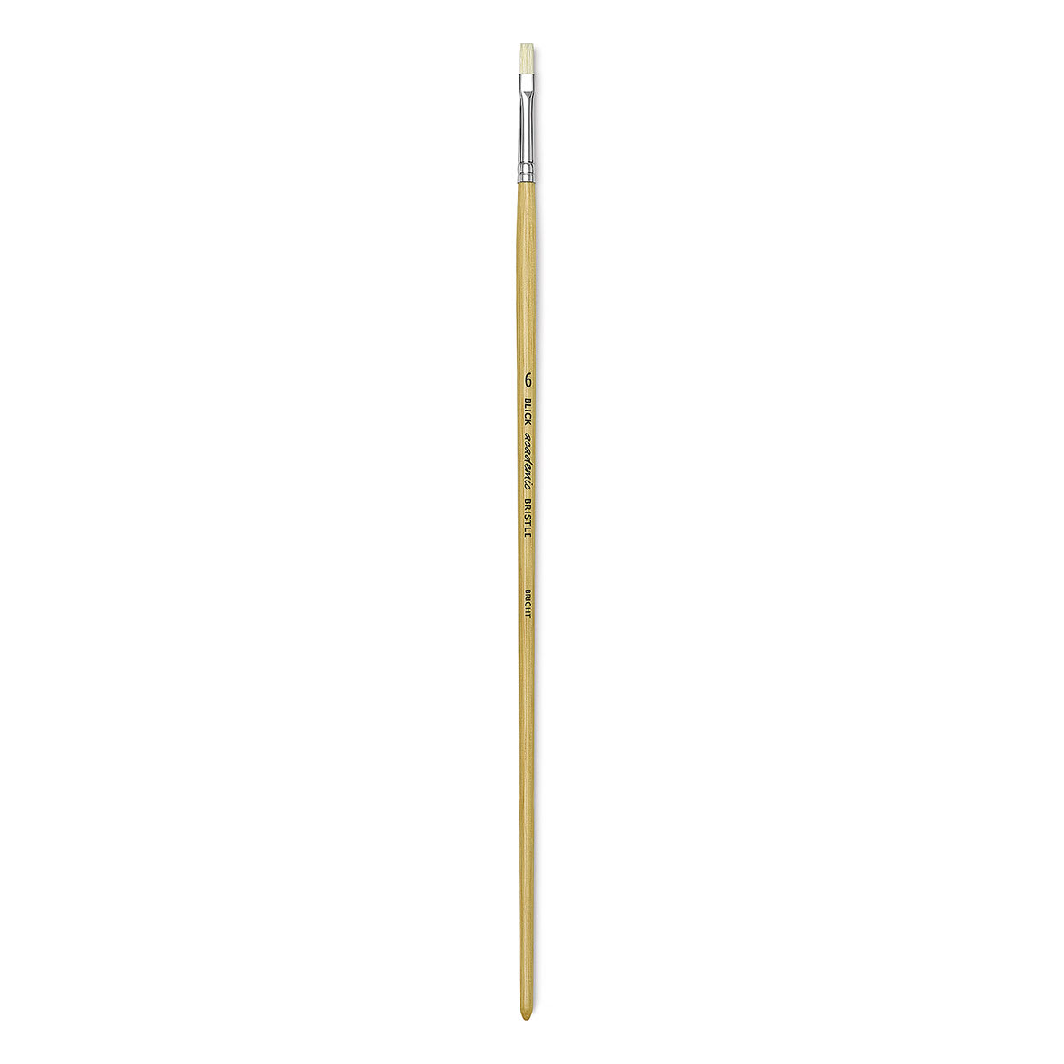 Blick Academic Bristle Brushes - Long handled Bright Brush shown upright
