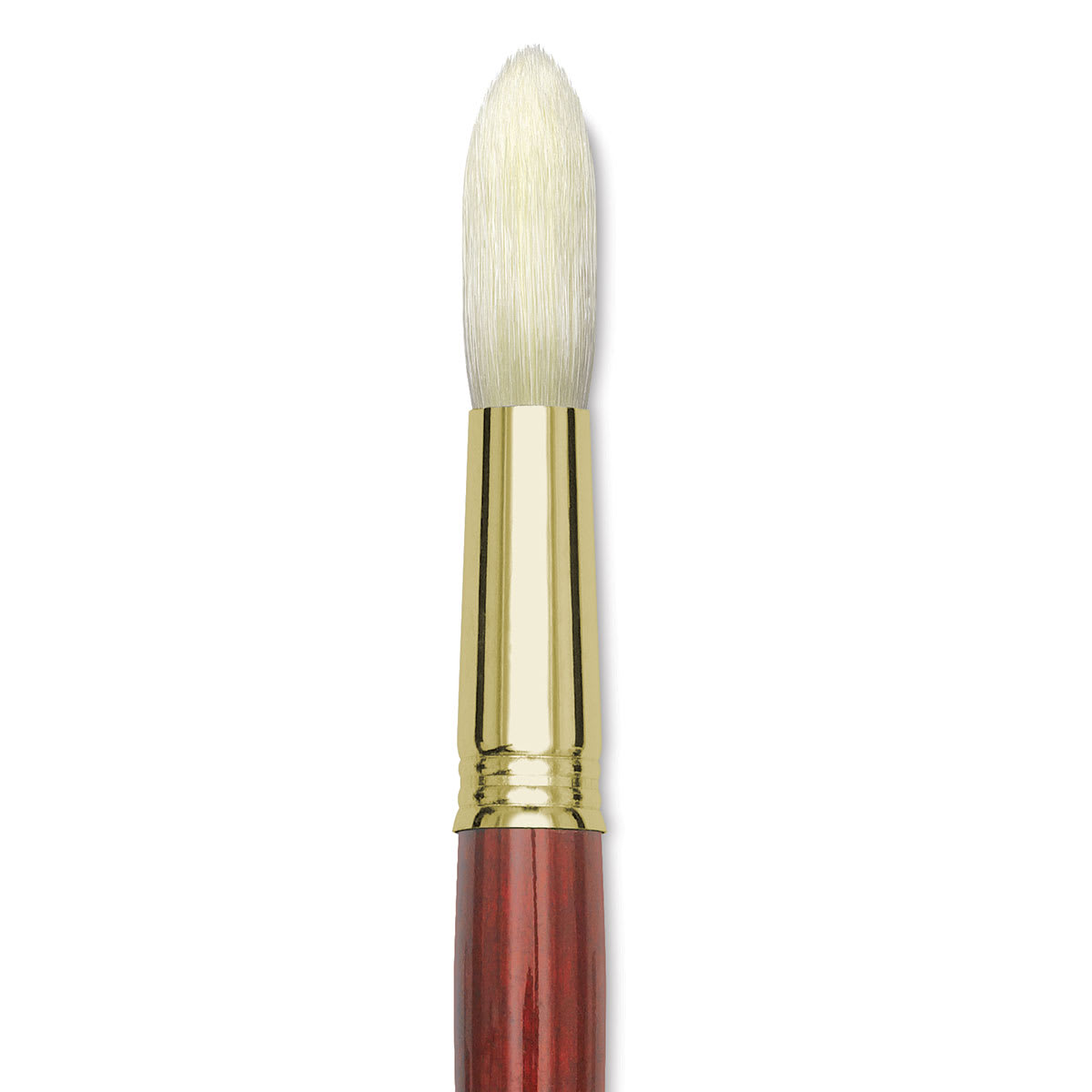 Blick Master Bristle Brush - Round, Long Handle, Size 22 close up