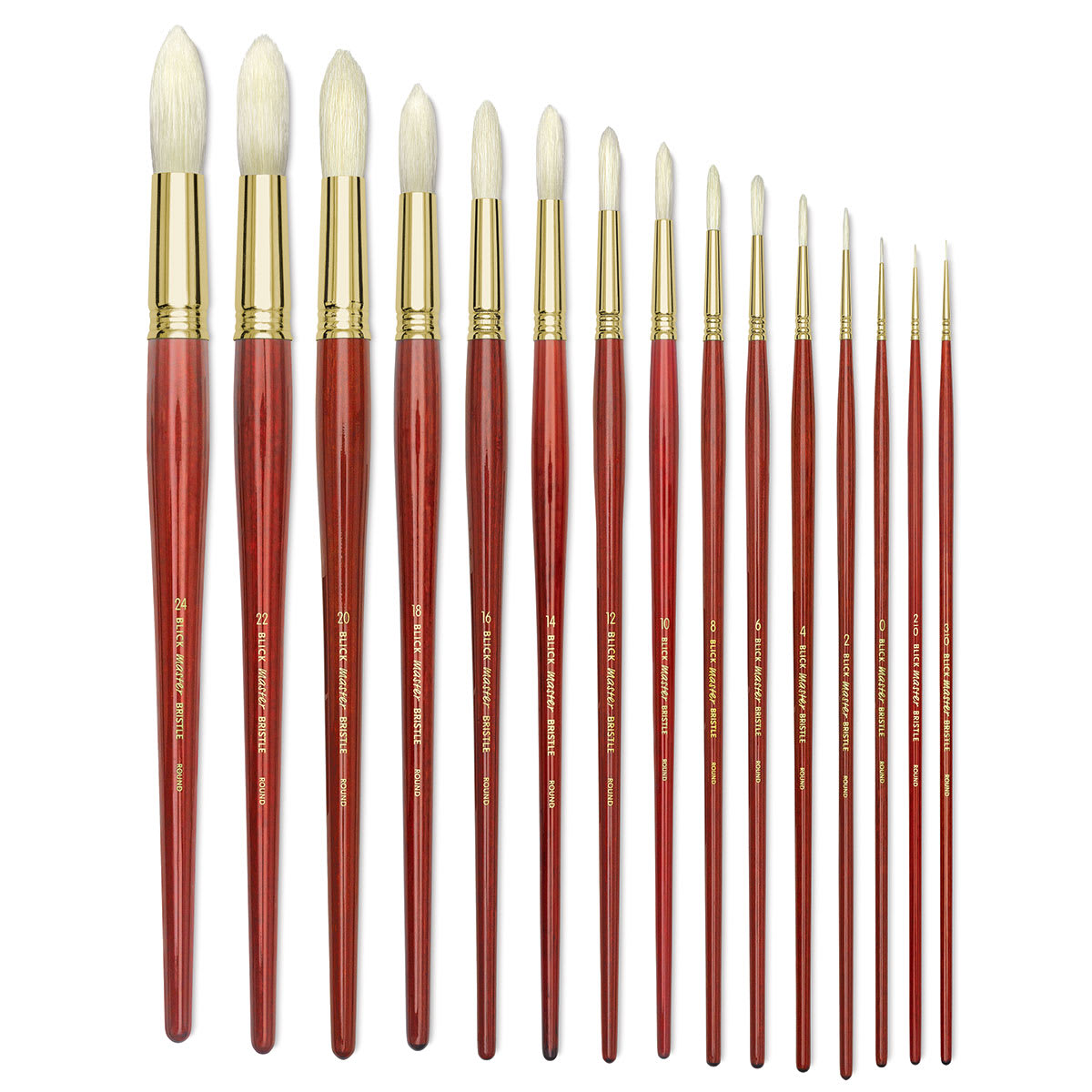 Blick Master Bristle Brushes - A range of sizes of Round Brushes shown upright
