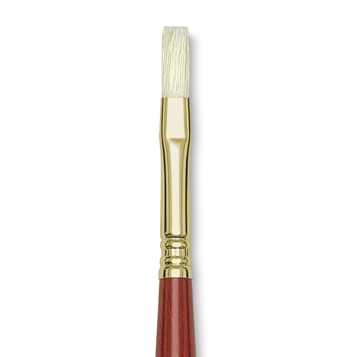 Blick Master Bristle Brush - Flat, Long Handle, Size 8 close up