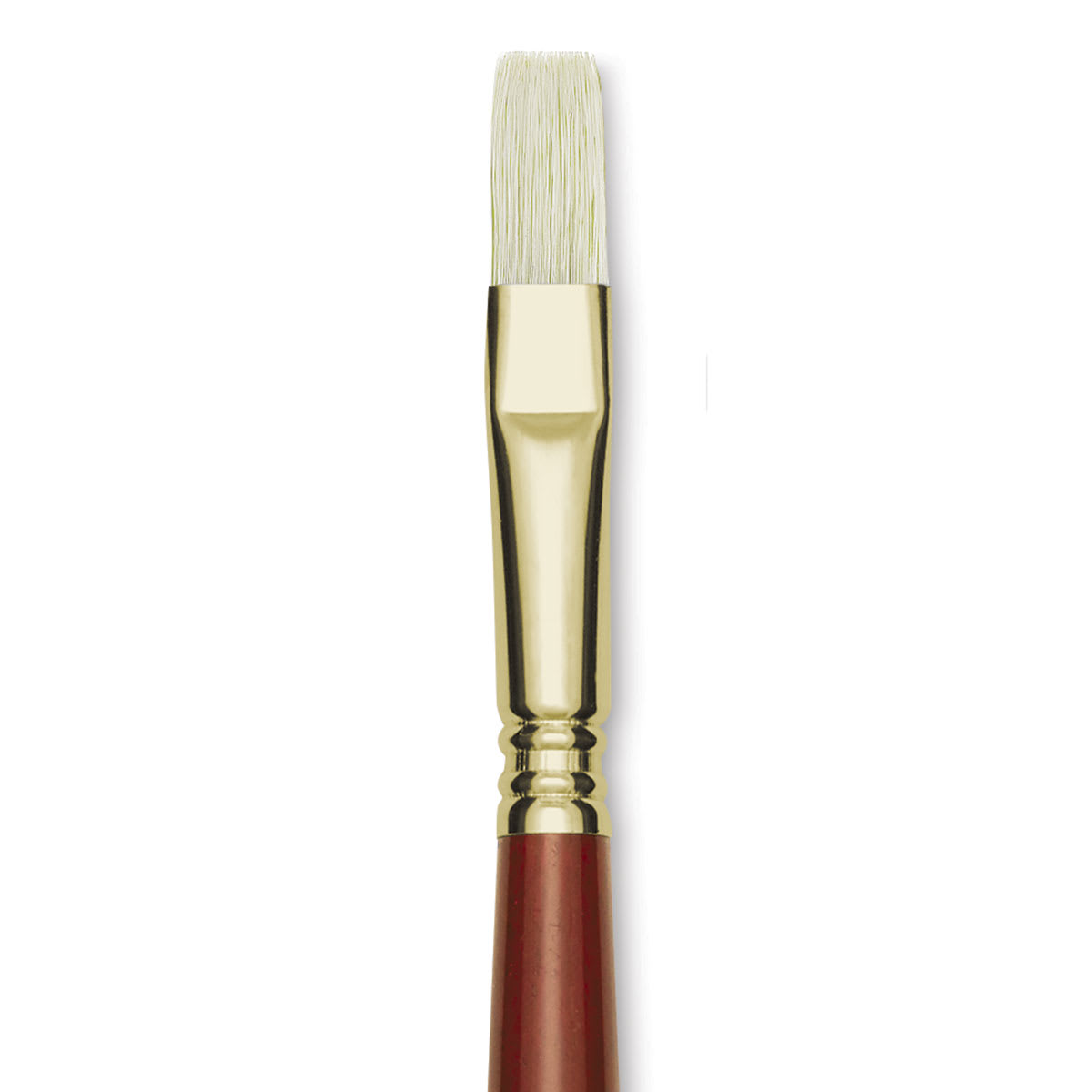 Blick Master Bristle Brush - Flat, Long Handle, Size 10 close up