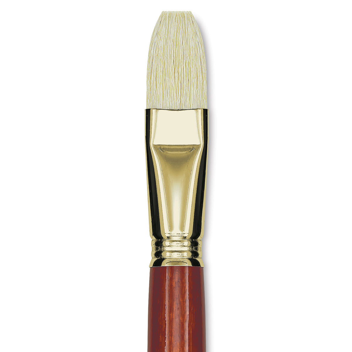 Blick Master Bristle Brush - Flat, Long Handle, Size 22 close up