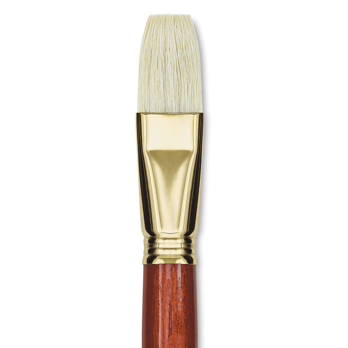 Blick Master Bristle Brush - Flat, Long Handle, Size 24 close up
