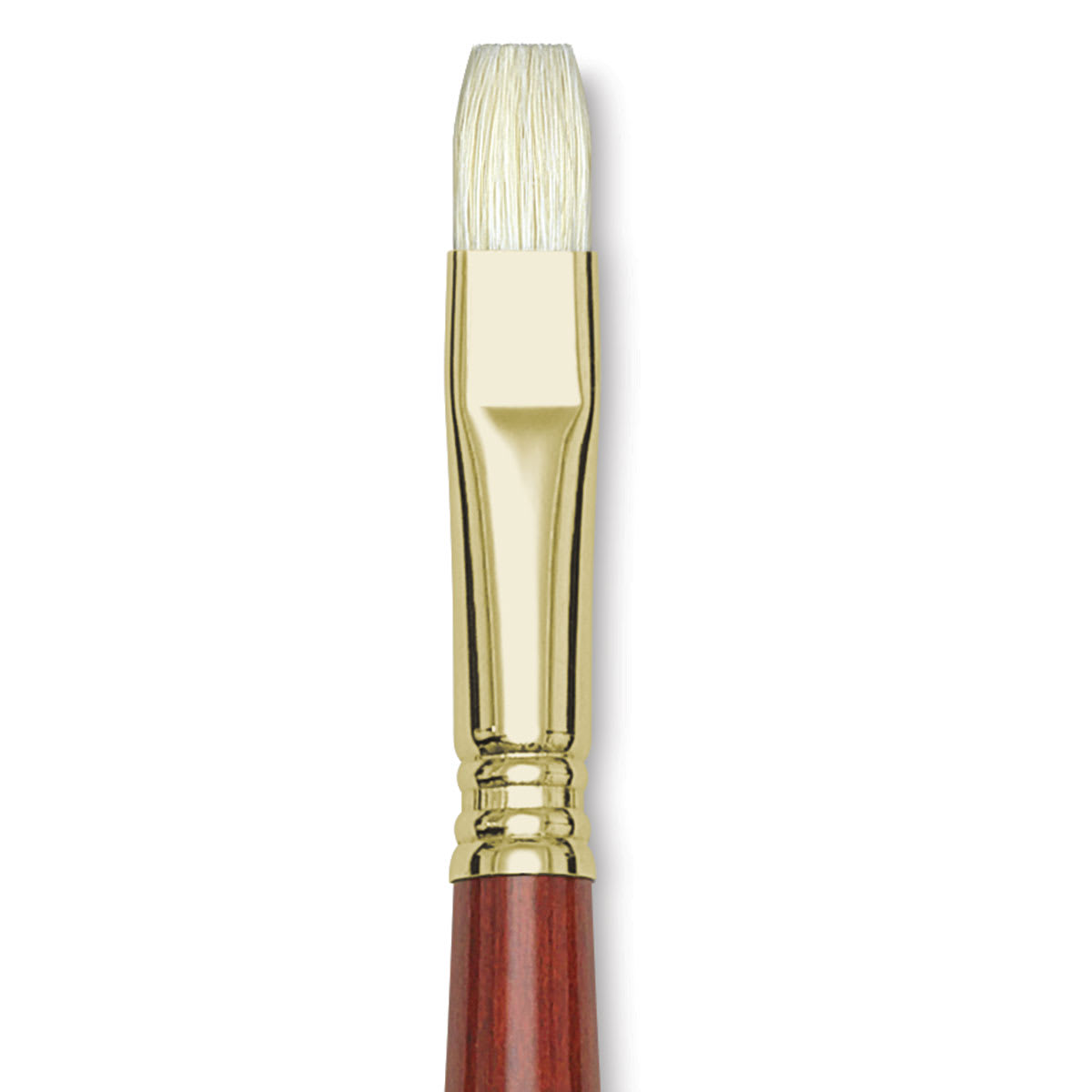 Blick Master Bristle Brush - Bright, Long Handle, Size 12 close up