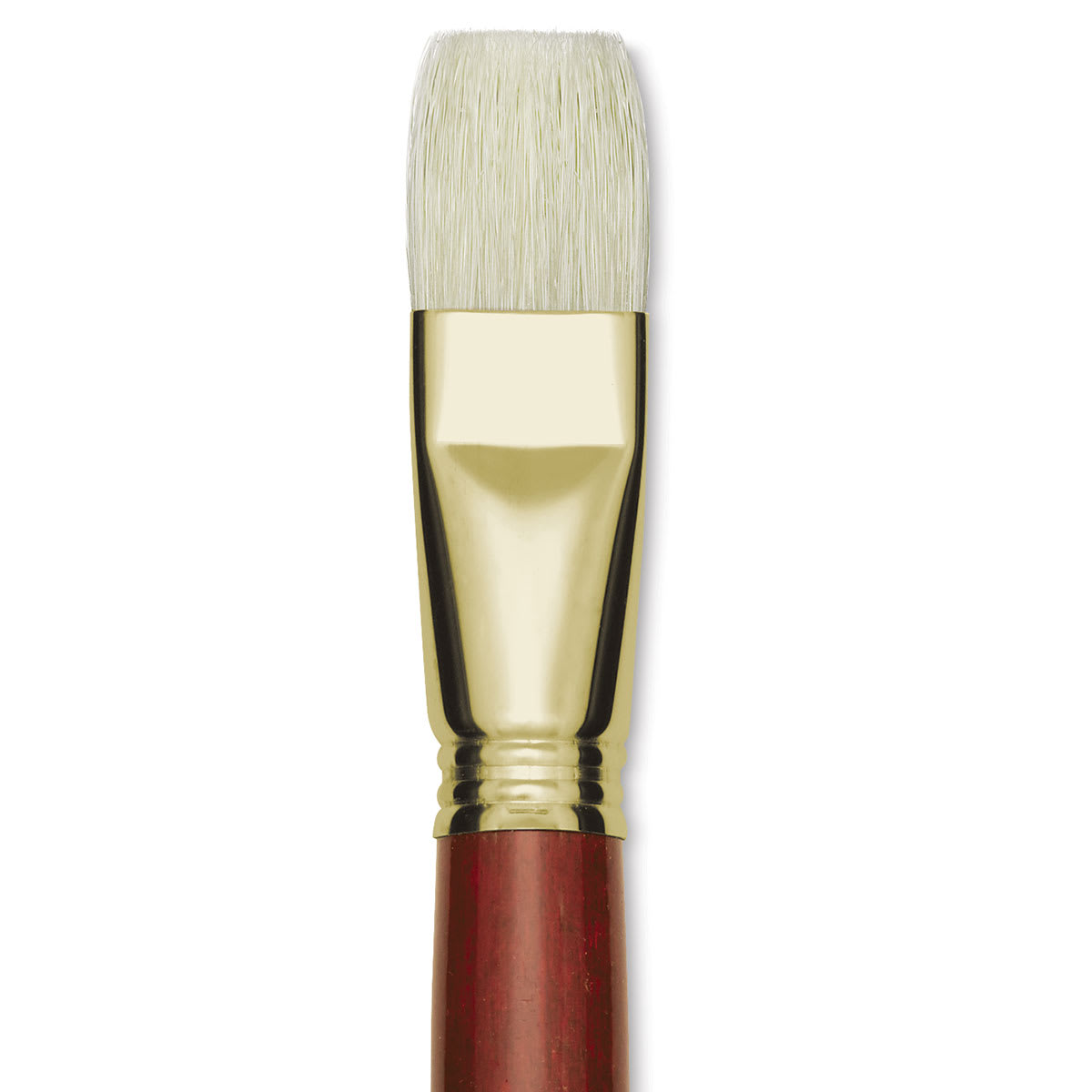 Blick Master Bristle Brush - Bright, Long Handle, Size 24 close up